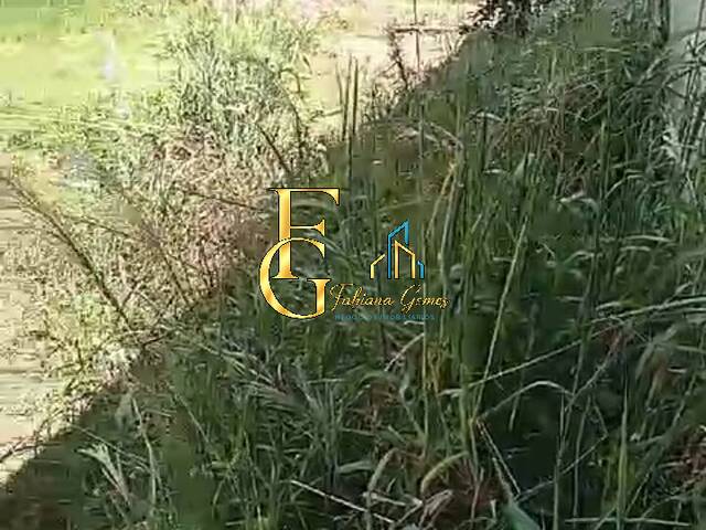  para  em  - 4