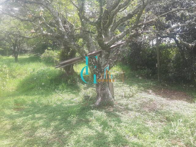 Área para Venda em São Roque - 3