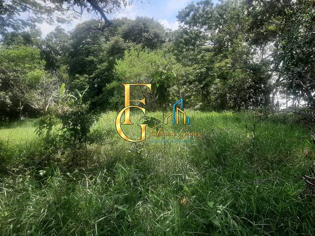 #698 - Área para Venda em São Roque - SP - 3