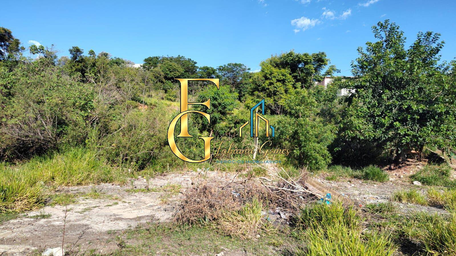 Terreno, 2 hectares - Foto 2