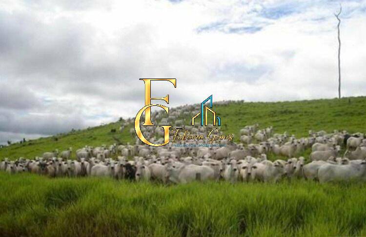 Terreno, 10 hectares - Foto 30