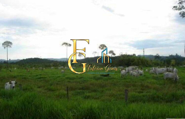Terreno, 10 hectares - Foto 28