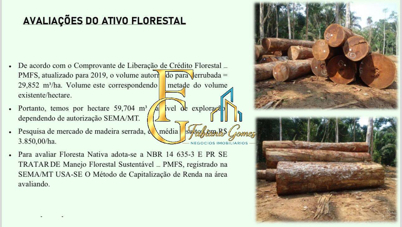 Terreno, 10 hectares - Foto 11