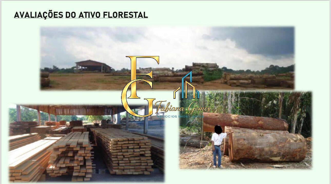 Terreno, 10 hectares - Foto 13