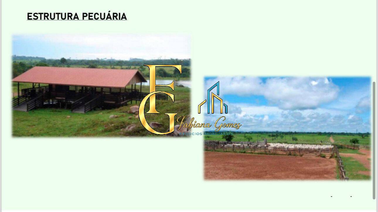 Terreno, 10 hectares - Foto 9