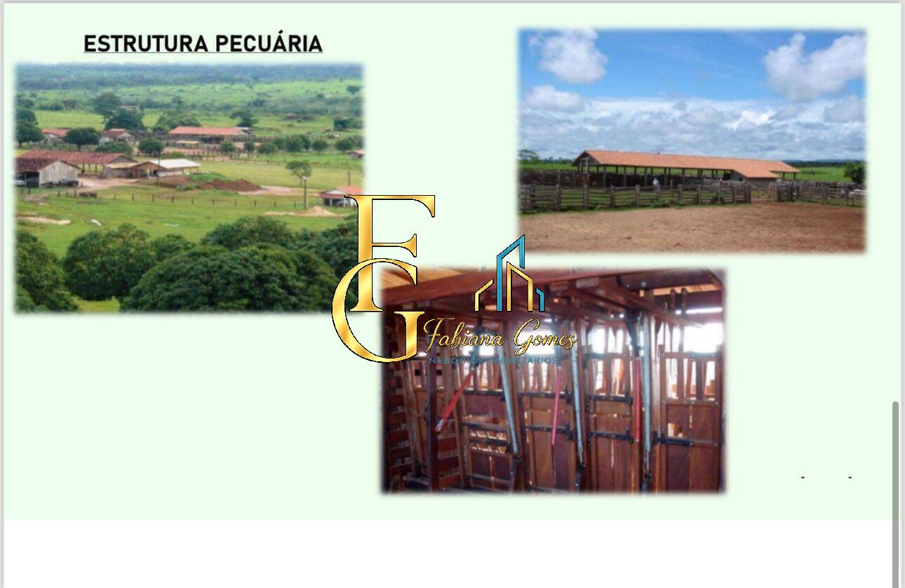 Terreno, 10 hectares - Foto 10