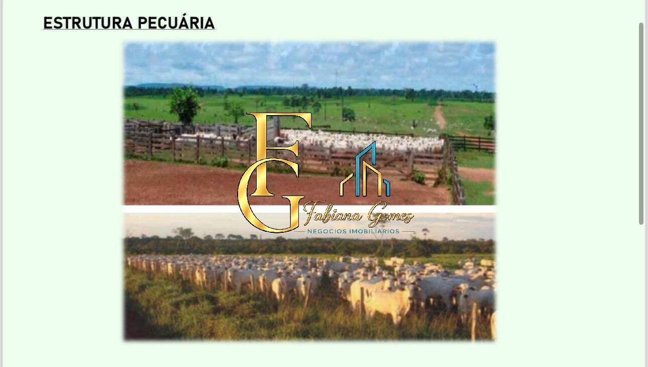 Terreno, 10 hectares - Foto 8