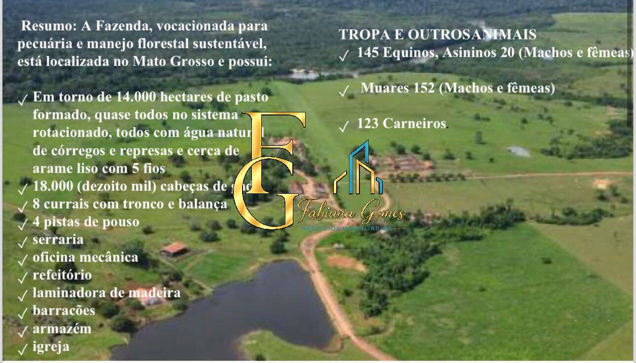 Terreno, 10 hectares - Foto 1