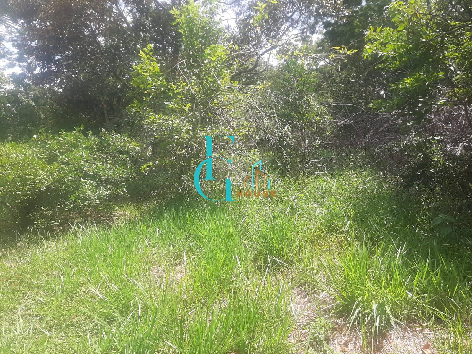 Terreno, 3460 m² - Foto 4