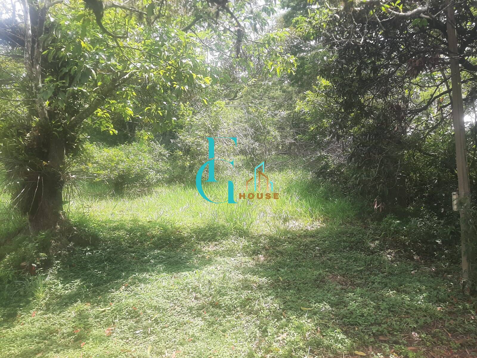 Terreno, 3460 m² - Foto 7