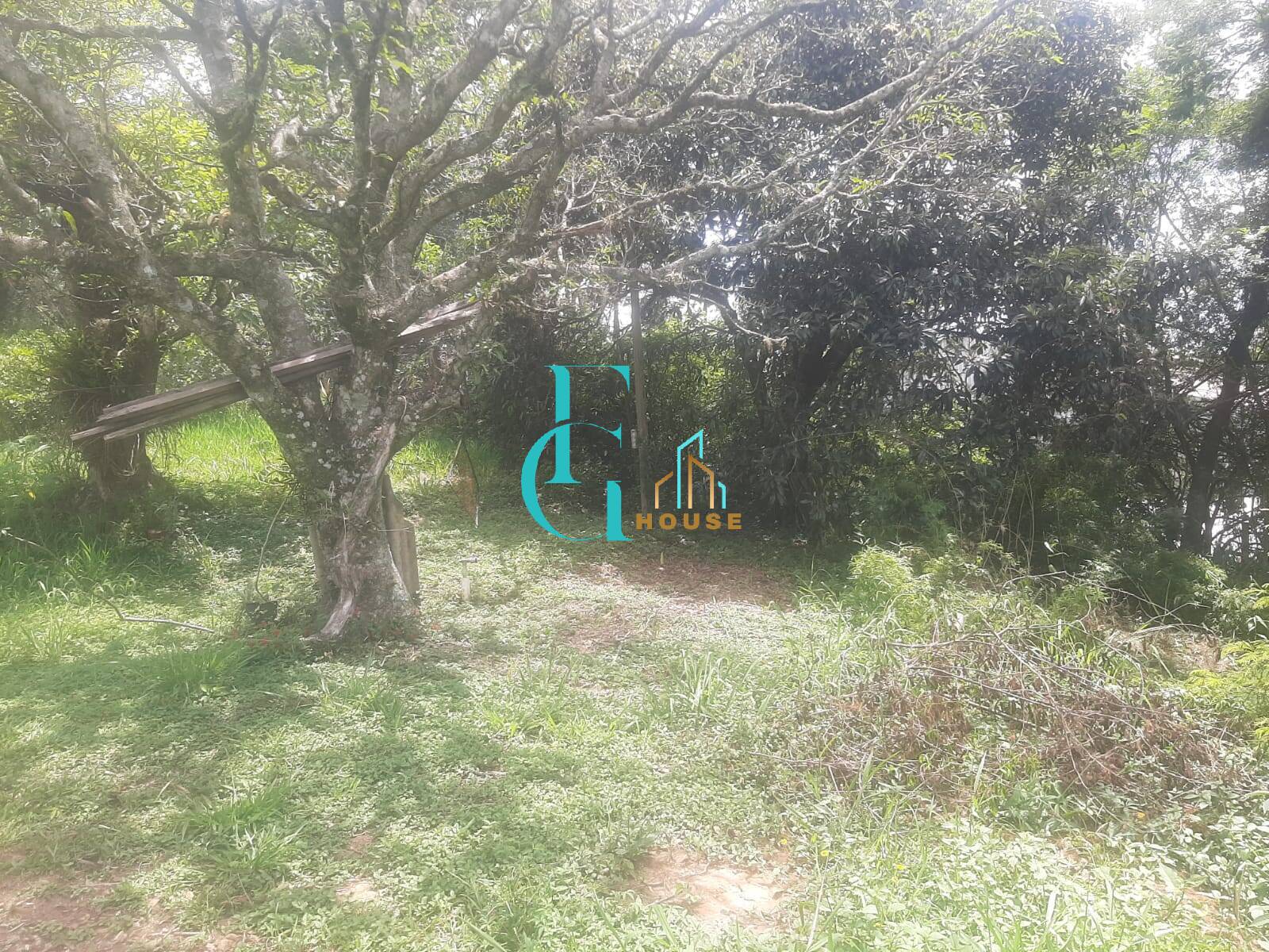 Terreno, 3460 m² - Foto 9