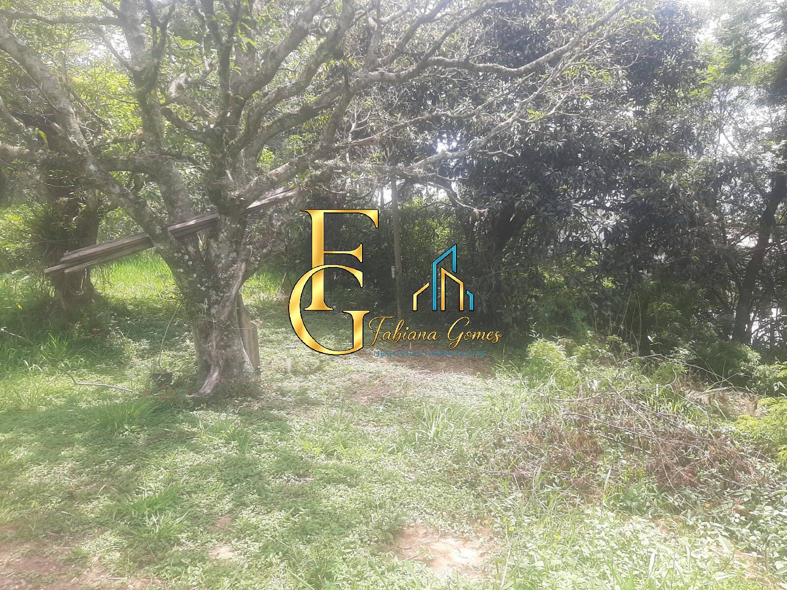 Terreno, 3460 m² - Foto 5