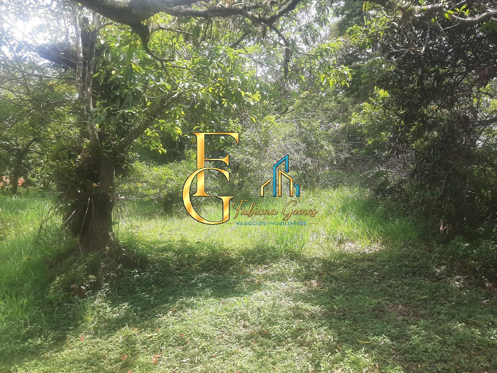 Terreno, 3460 m² - Foto 9