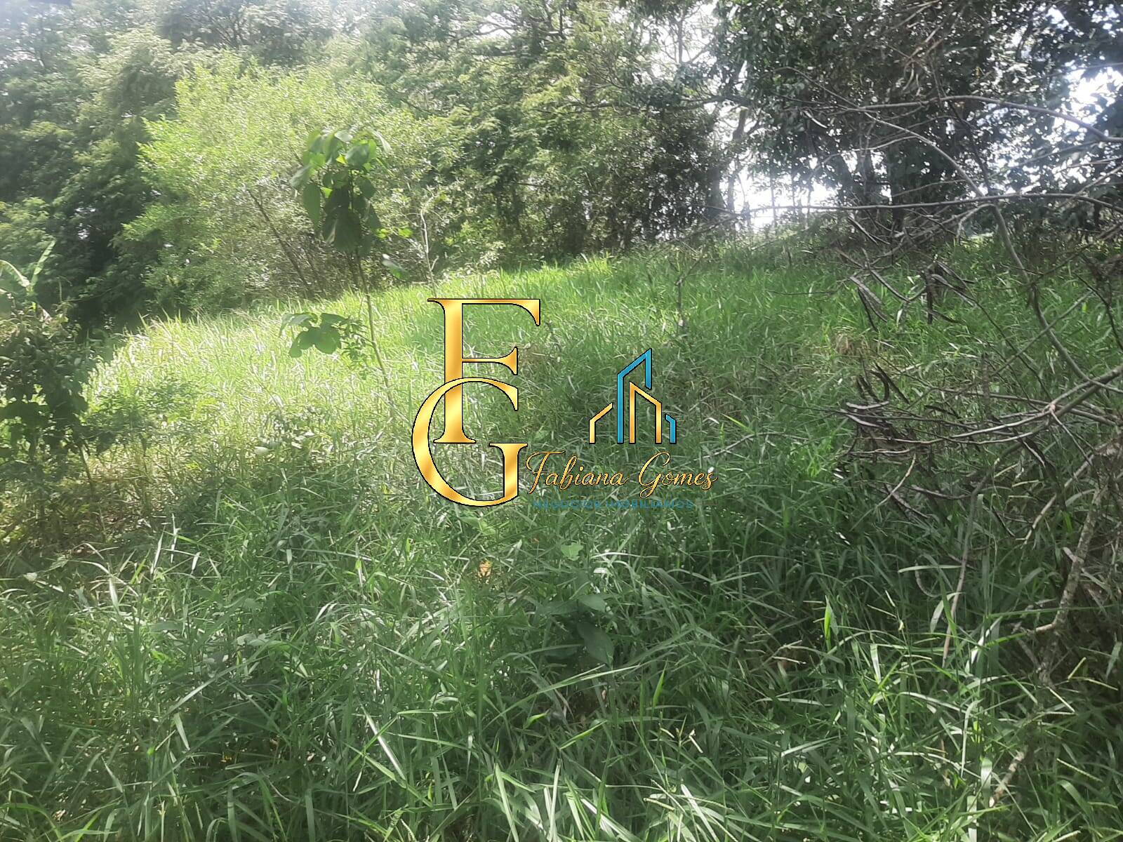 Terreno, 3460 m² - Foto 10