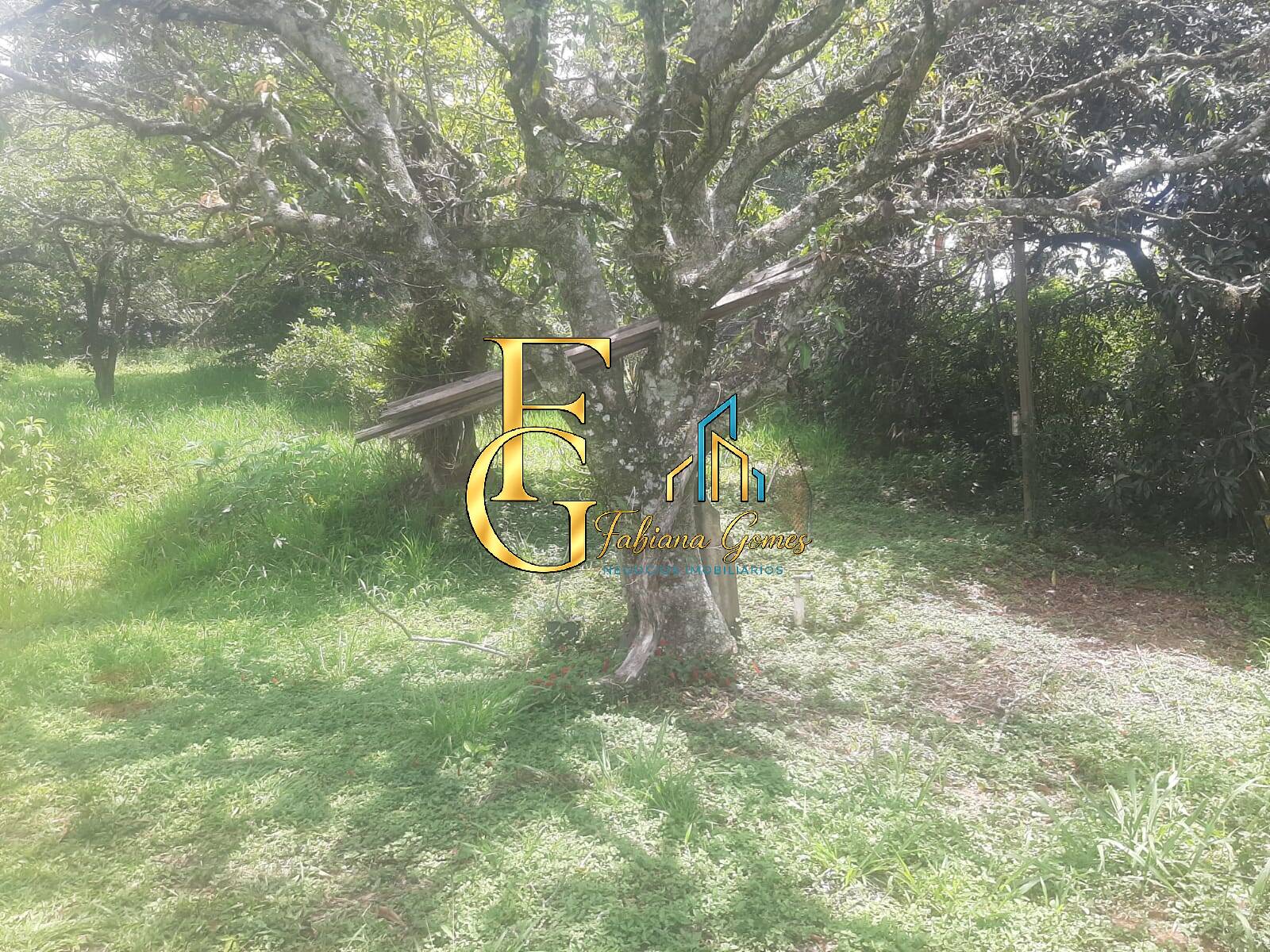 Terreno, 3460 m² - Foto 13