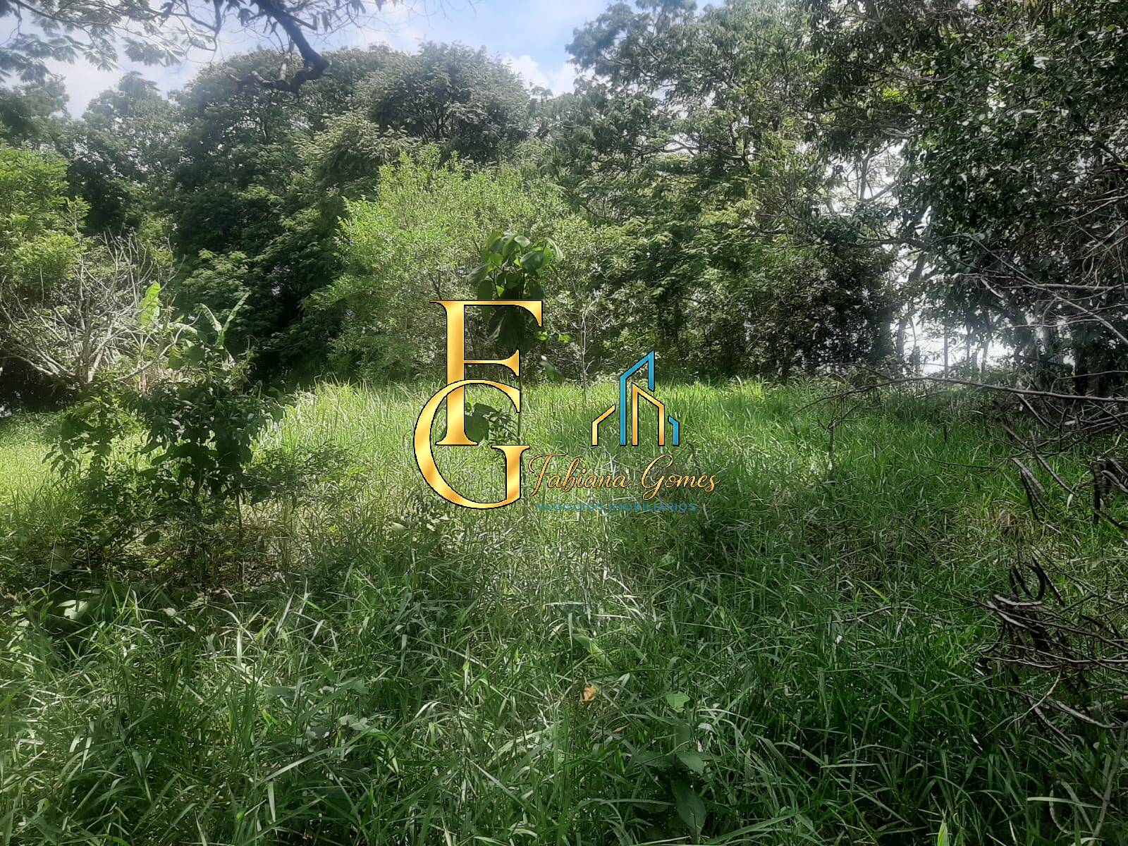 Terreno, 3460 m² - Foto 14